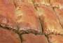 Antep Baklava 3