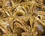 Antep Baklava 4