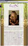 Candice Night, Istanbul impressions 2004