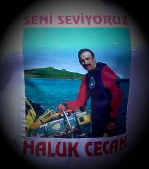 HALUK CECAN Pages
