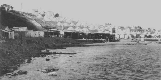 Dragos 1968