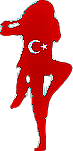 TULLTURK  Pages by Bora Cetin