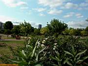 Göztepe Parkı 2003