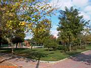 Göztepe Parkı, 28 Ekim 2005